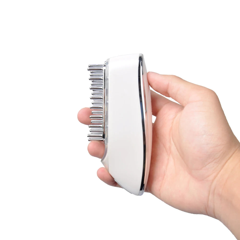 Peigne de soins capillaires à micro-importation électrique EMS, peigne de massage méridien multifonction, brosse de massage capillaire rechargeable USB