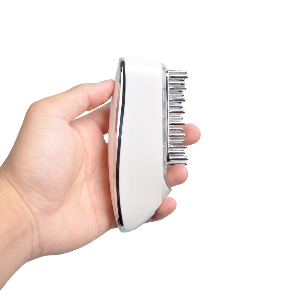 Peigne de soins capillaires à micro-importation électrique EMS, peigne de massage méridien multifonction, brosse de massage capillaire rechargeable USB